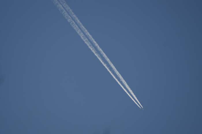 PICT5604